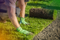 How To Lay And Repair Turf