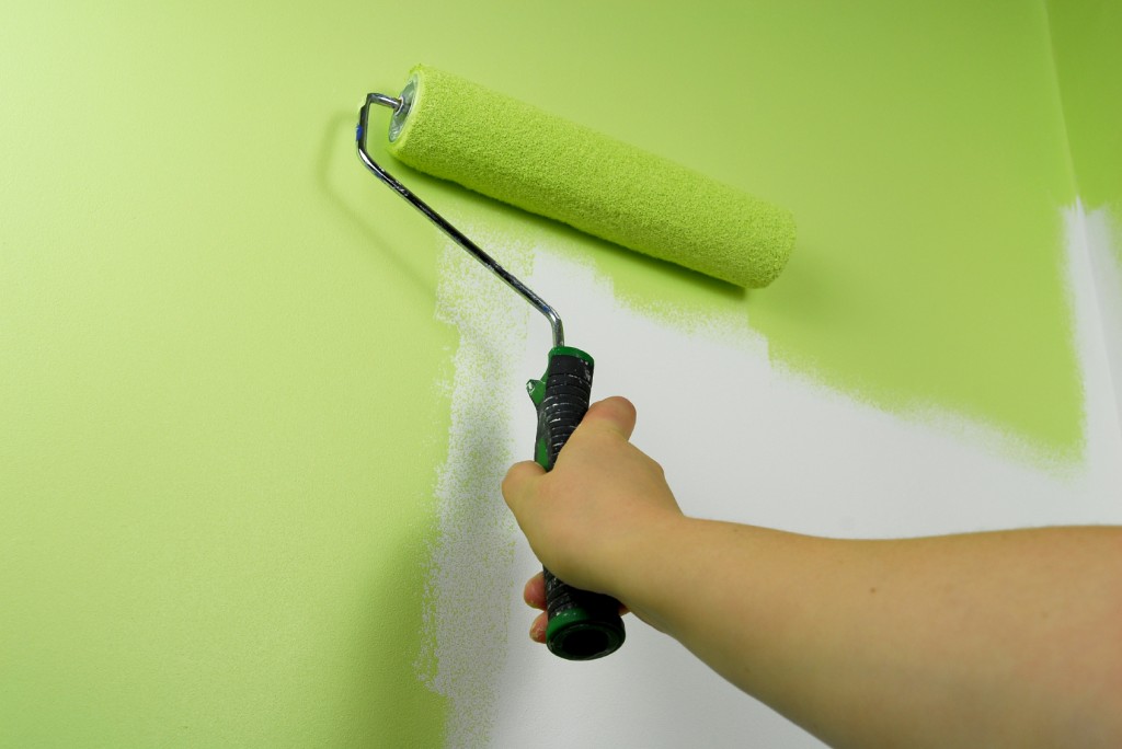 Painting On New Plaster Diy Guide Top Tradespeople