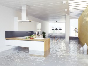 flooding kitchen modern interior (3D concept)