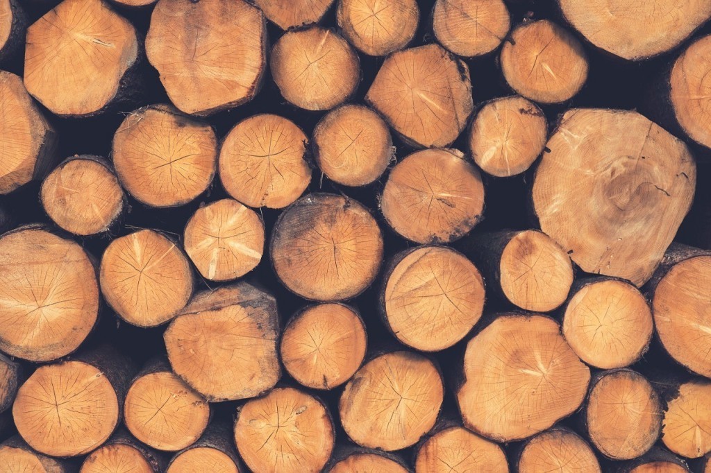 Logs piled up after being chopped