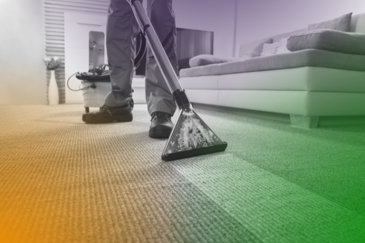 Carpet Cleaning Cost