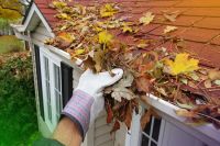 Keep Your Gutters In Tip Top Condition