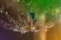 Cost of Sprinkler Systems