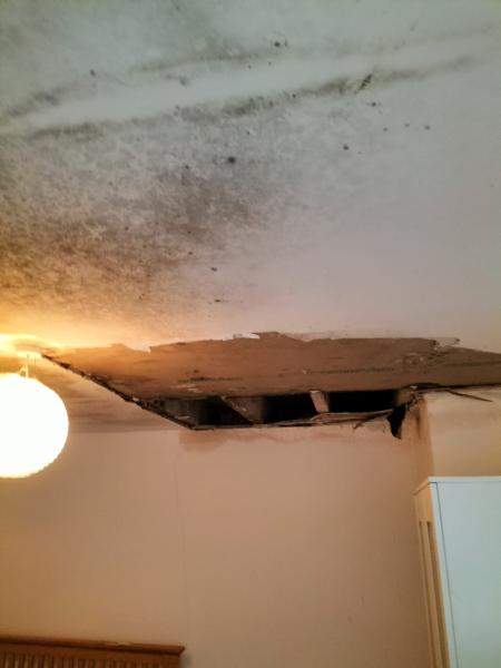 Residential - Ceiling repair, plaster and paint