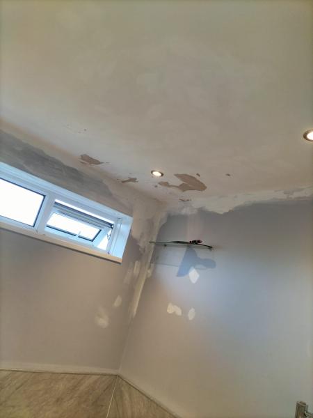 Residential - Ceiling repair, plaster and paint